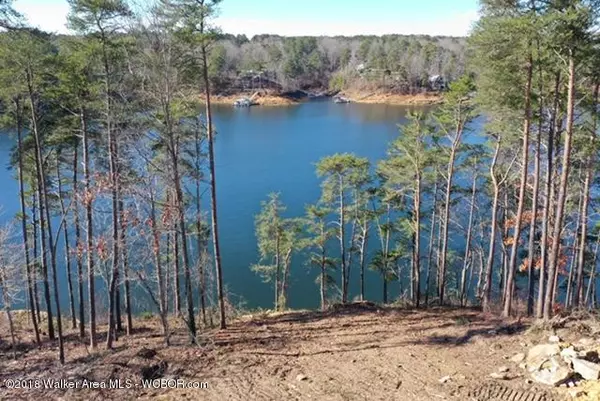 Bremen, AL 35033,LOT 25 HIDDEN SHORES