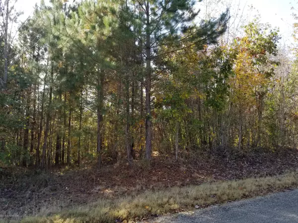 Carbon Hill, AL 35549,IRON MOUNTAIN ROAD