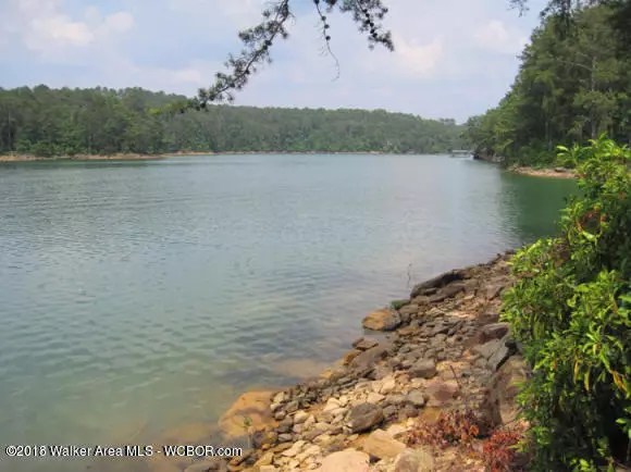 LOT 11 COUNTY ROAD 108, Arley, AL 35541