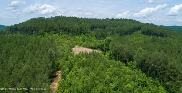 WOLF CREEK Rd, Carbon Hill, AL 35549