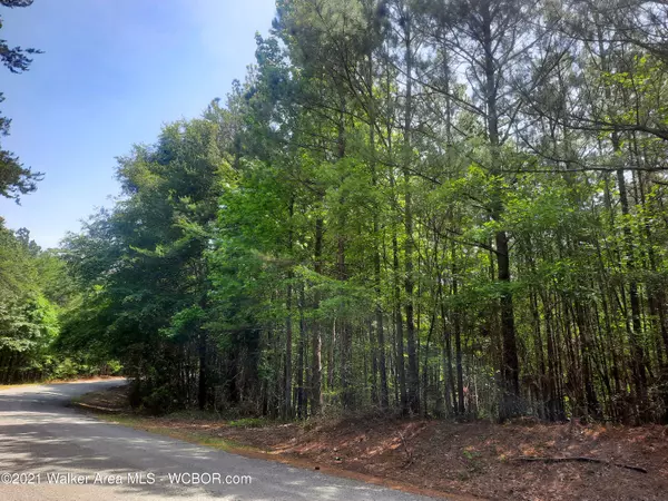 BEACH GROVE ROAD, Carbon Hill, AL 35549