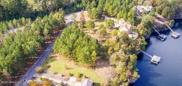 Crane Hill, AL 35053,LOT 6 BEAR PEN CREEK