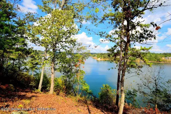 LOT 7 BEAR PEN CREEK, Crane Hill, AL 35053