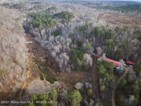 Bremen, AL 35033,12156 AL-69