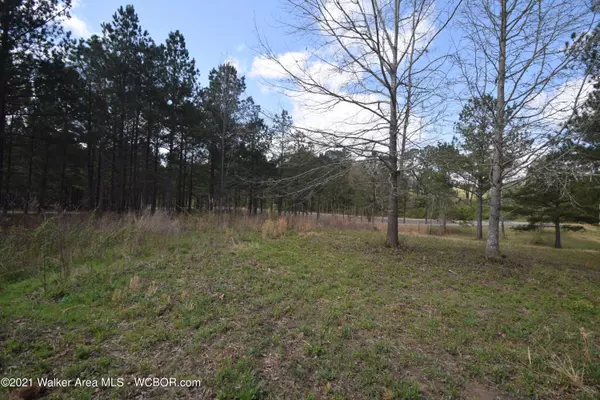 Crane Hill, AL 35053,LOT 5 BEAR PEN CREEK