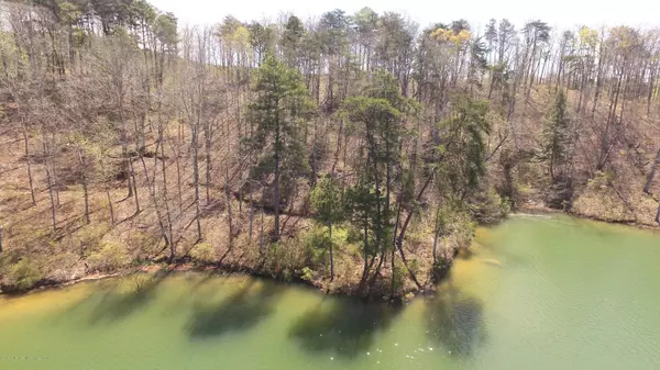 LOT 35 OSPREY AVE, Arley, AL 35540