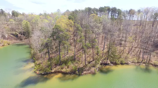 LOT 37 OSPREY AVE, Arley, AL 35540