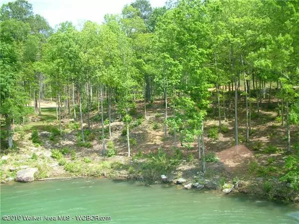 LOT # 46 OSPREV AVE, Arley, AL 35541