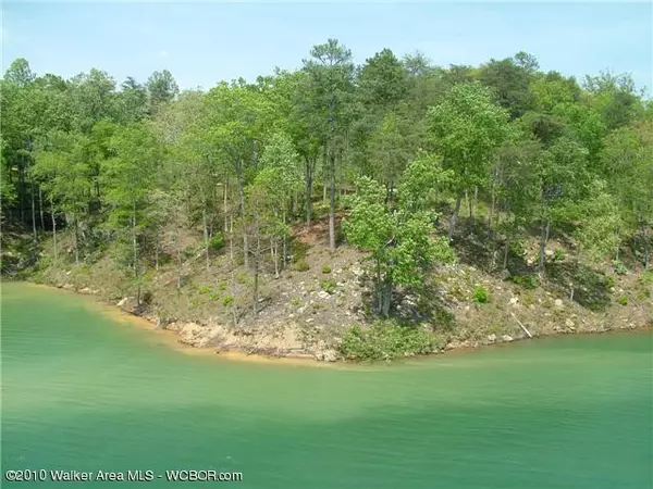 LOT # 6 CO RD 3914, Arley, AL 35541