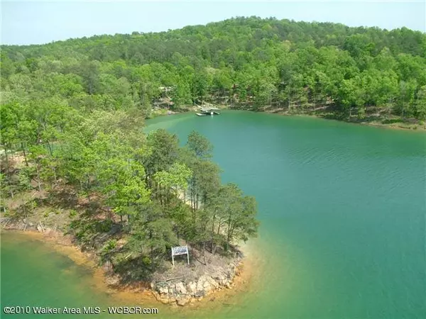 LOT #18 KINGFISHER LN, Arley, AL 35541