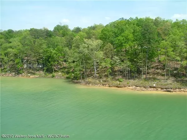 LOT # 32 OSPREV AVE, Arley, AL 35541