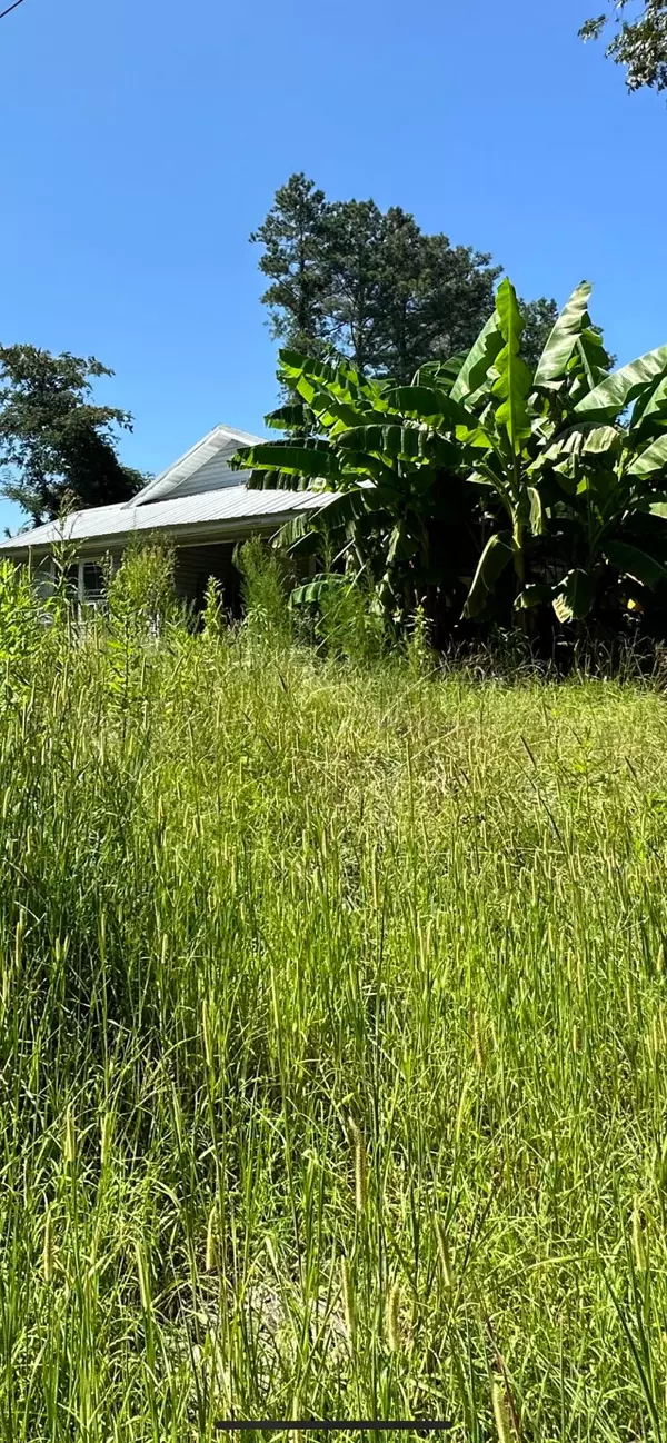 385 INGRAM Rd, Nauvoo, AL 35578