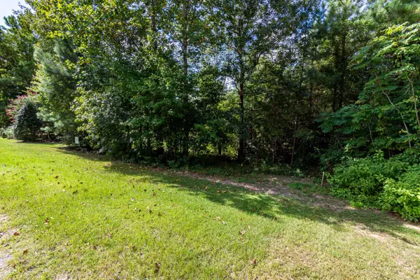 LOT 52 EMMONS Dr, Arley, AL 35541