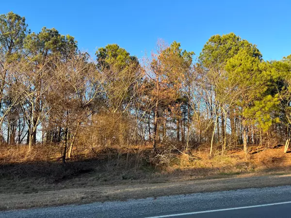 LIBERTY HILL Rd, Oakman, AL 35579