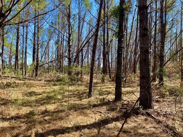 Gulf Shores, AL 36542,18813 Oak RD W