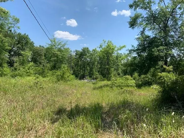 0 Chunchula Landfill RD, Chunchula, AL 36521