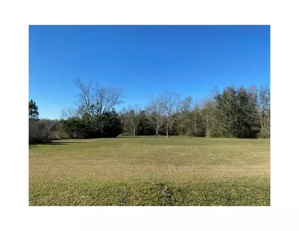 0 Diffee RD, Grand Bay, AL 36541