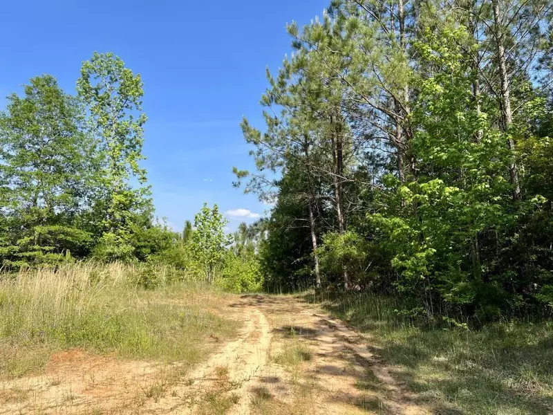 10939 Highway 69, Coffeeville, AL 36545
