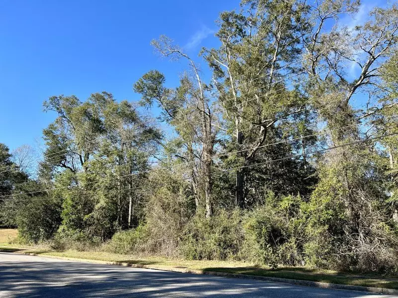 7940 Lebaron AVE E, Citronelle, AL 36522