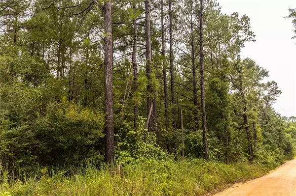 35 Mills RD, Chatom, AL 36518