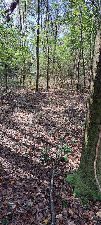 Eight Mile, AL 36613,0 Dykes RD