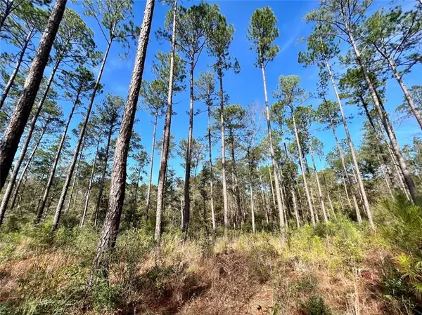 Bay Minette, AL 36507,0 Whitehouse Fork RD