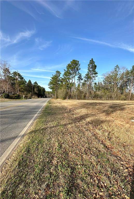 Wilmer, AL 36587,7500 Wilmer Georgetown RD