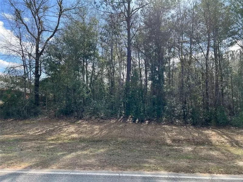 0 Chunchula-Georgetown RD, Chunchula, AL 36521