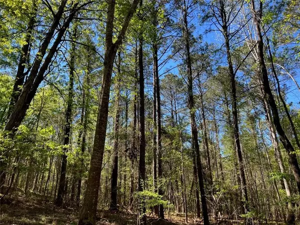 Sardis, AL 36775,0 County Road 336