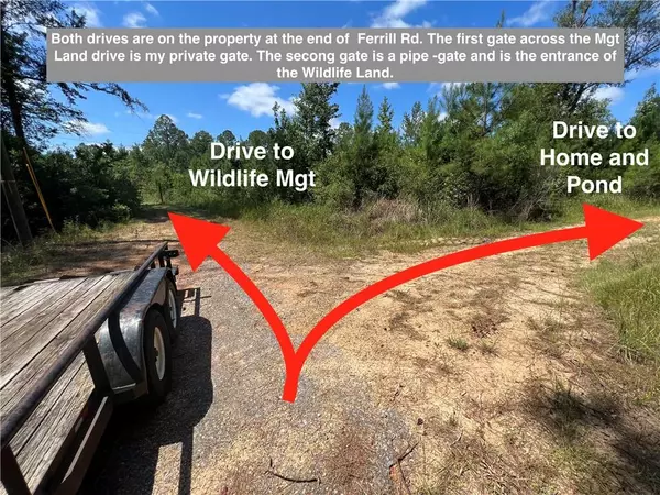 Lucedale, MS 39452,144 Ferrill RD