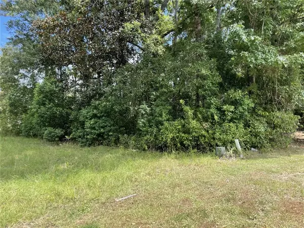 Theodore, AL 36582,0 Rabbit Creek DR