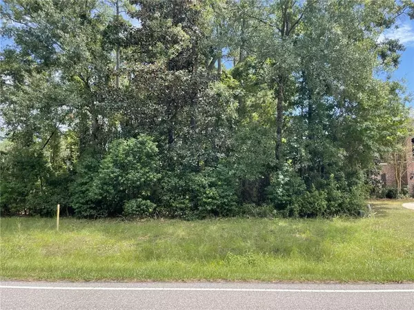 Theodore, AL 36582,0 Rabbit Creek DR
