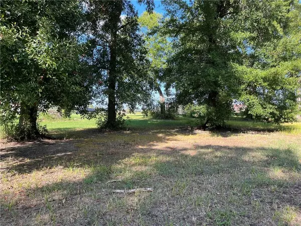 Irvington, AL 36544,0 Stinson DR