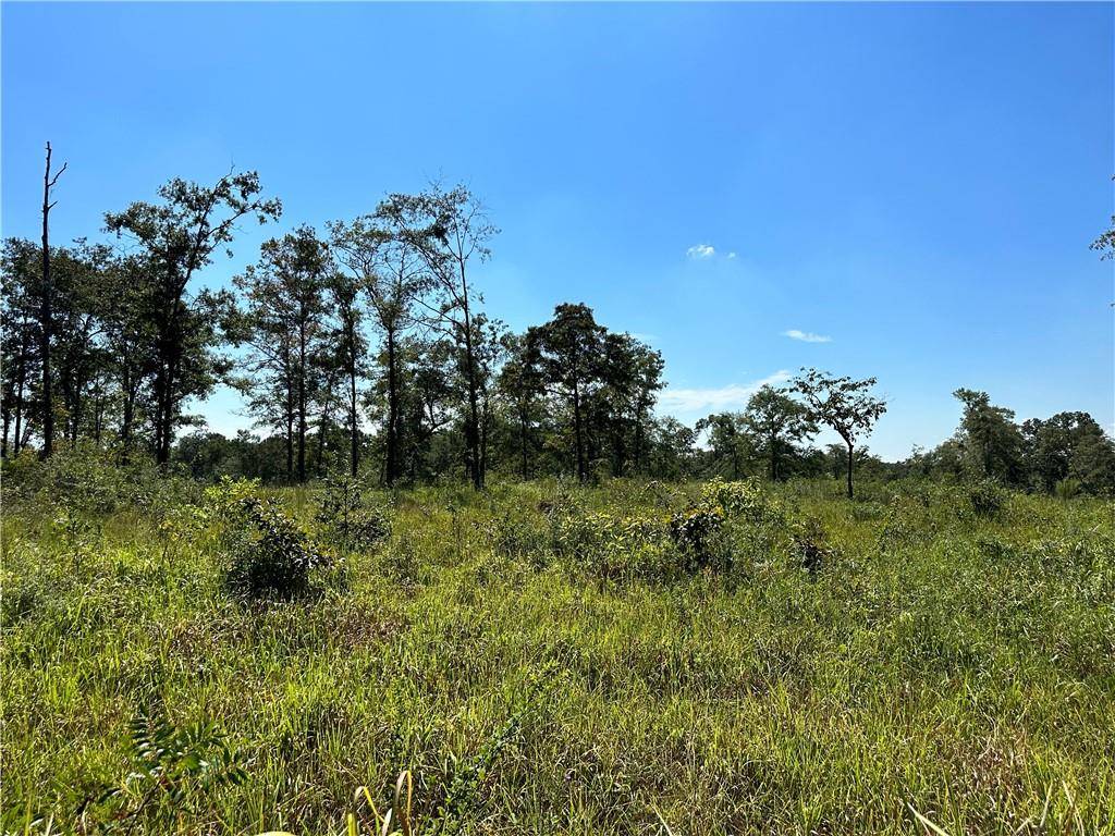 Mobile, AL 36608,0 Hampton RD