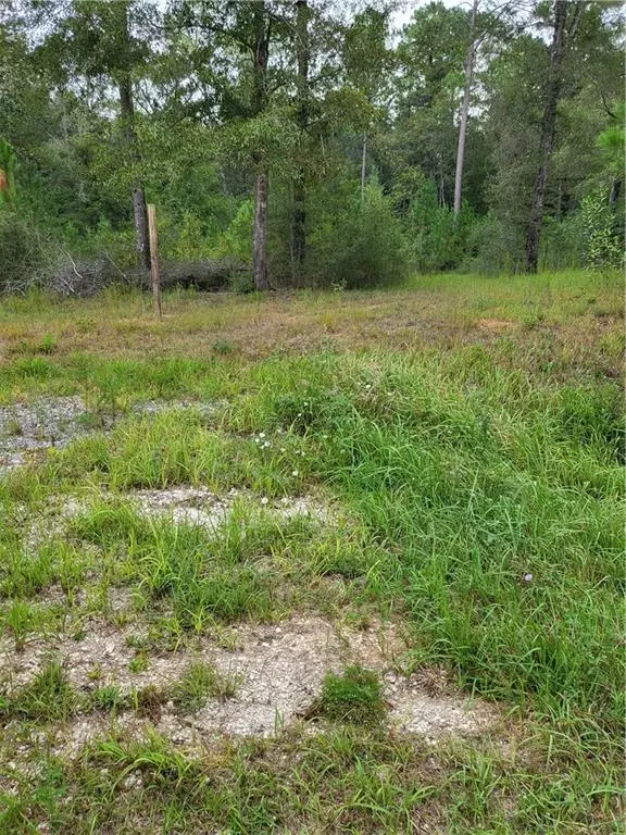 0 Roberts RD, Chunchula, AL 36521