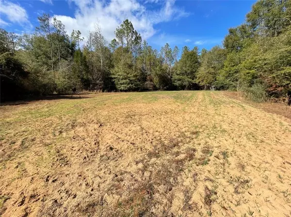 Luverne, AL 36049,0 County Road 35