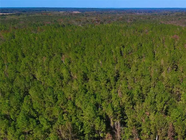 Luverne, AL 36049,0 County Road 35