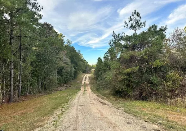 0 Lott RD, Chunchula, AL 36521