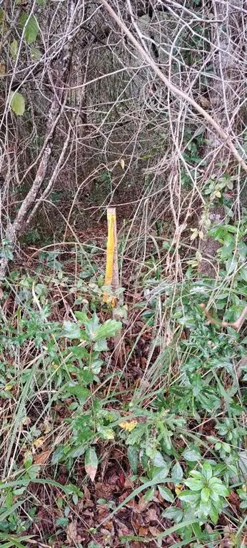 Mobile, AL 36619,0 Tillman DR