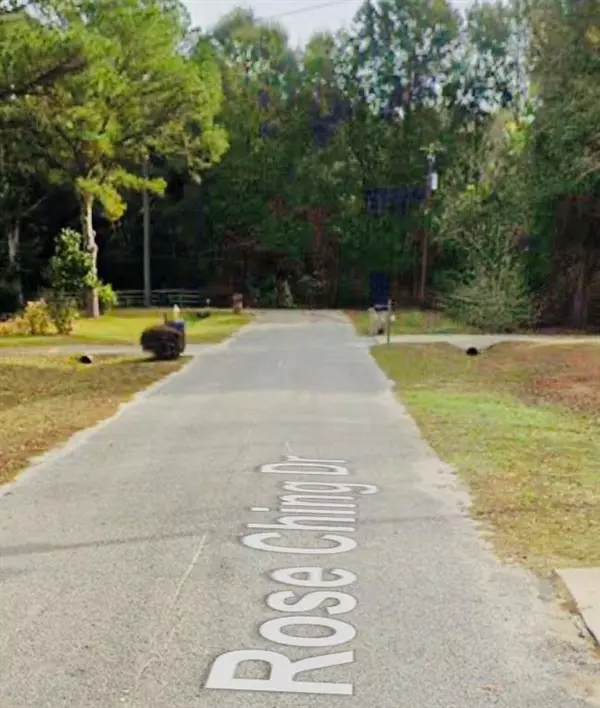 Mobile, AL 36618,0 Rose Ching DR