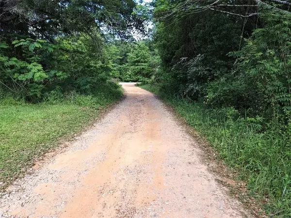Grand Bay, AL 36541,0 Lawson RD