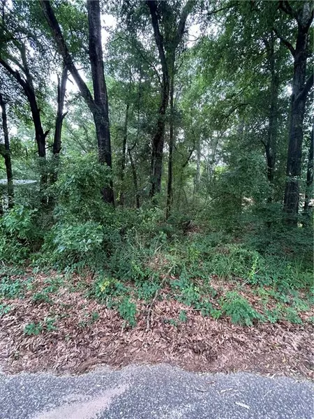 2911 Summit DR W, Mobile, AL 36618