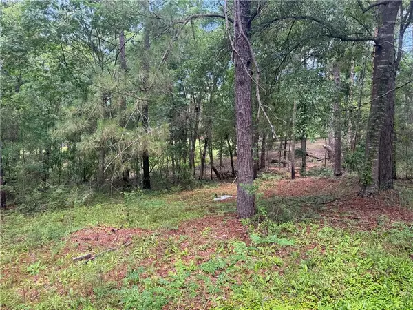 Wilmer, AL 36587,15001 Shalimar DR N