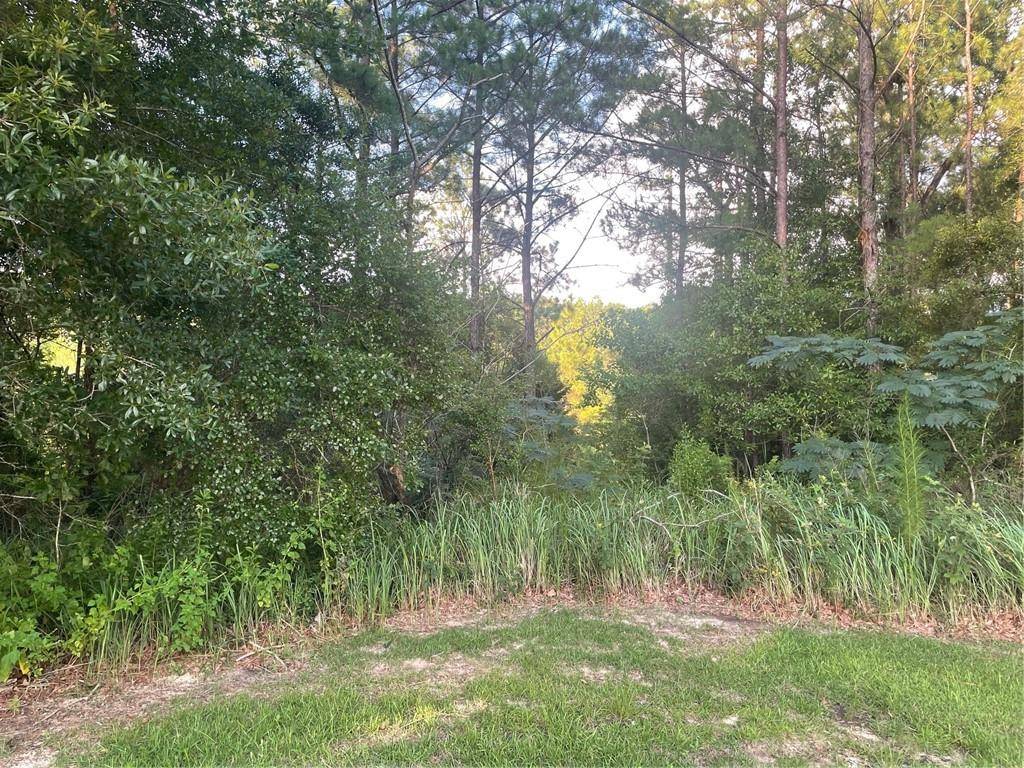 Mobile, AL 36618,0 Red Maple DR