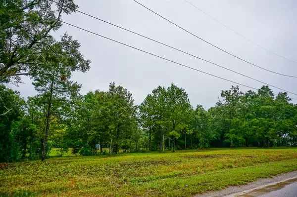 Theodore, AL 36582,0000 Barneswood DR