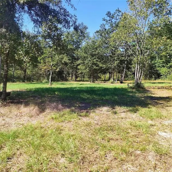 5608 Sam Lewis RD, Citronelle, AL 36522