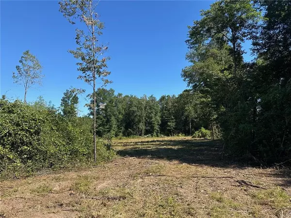 0 Newman RD, Mobile, AL 36695