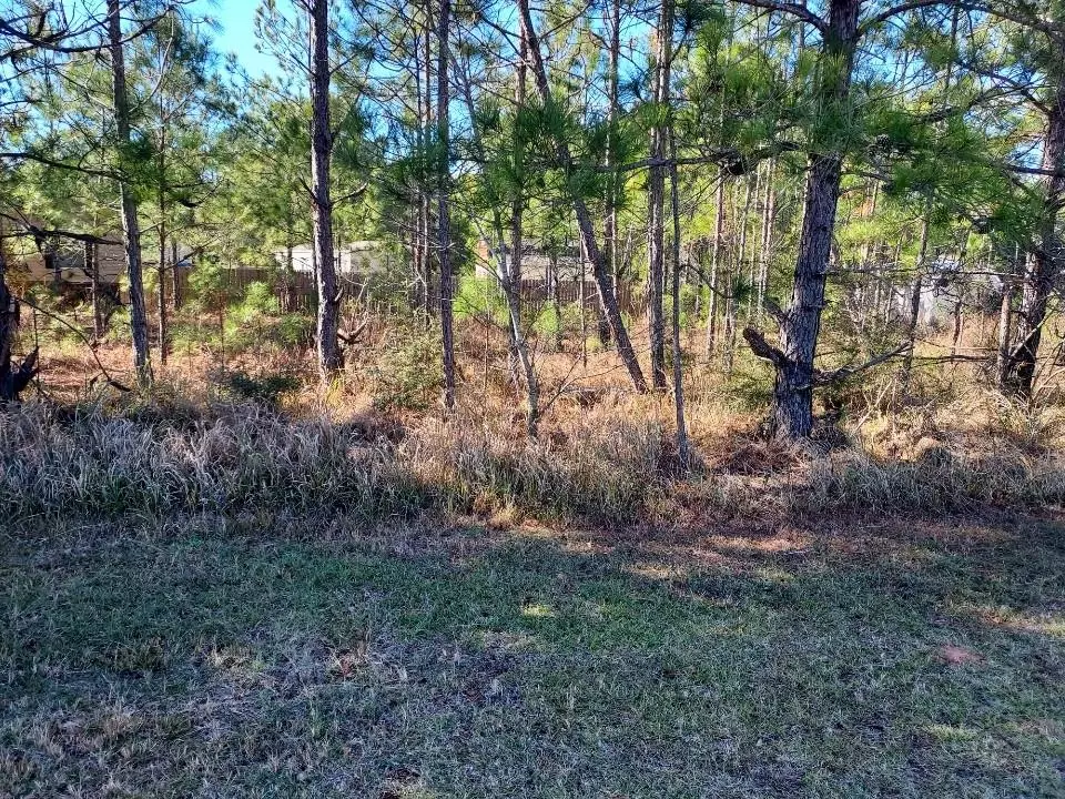 Theodore, AL 36582,6912 March Woods CT