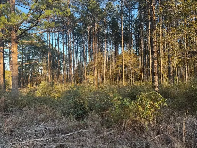 0 Wilmer Georgetown RD, Mobile, AL 36587