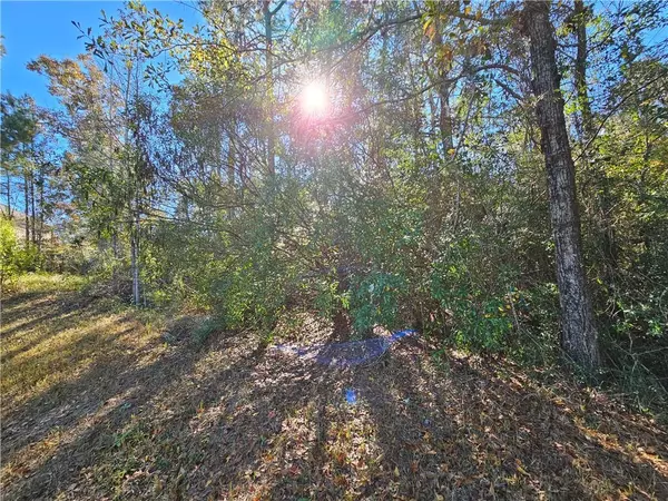 Mobile, AL 36695,Lot#9 Crystal CT N